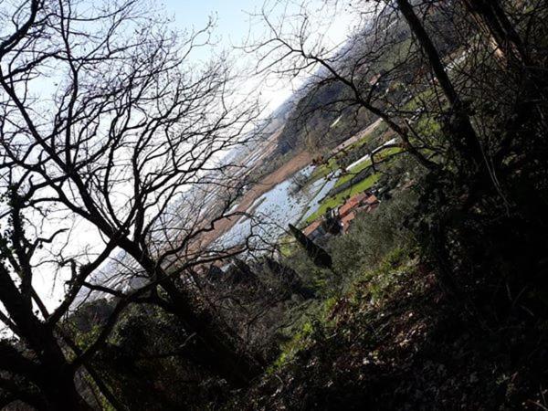 Cecco Di Nara Ξενοδοχείο Massarosa Εξωτερικό φωτογραφία