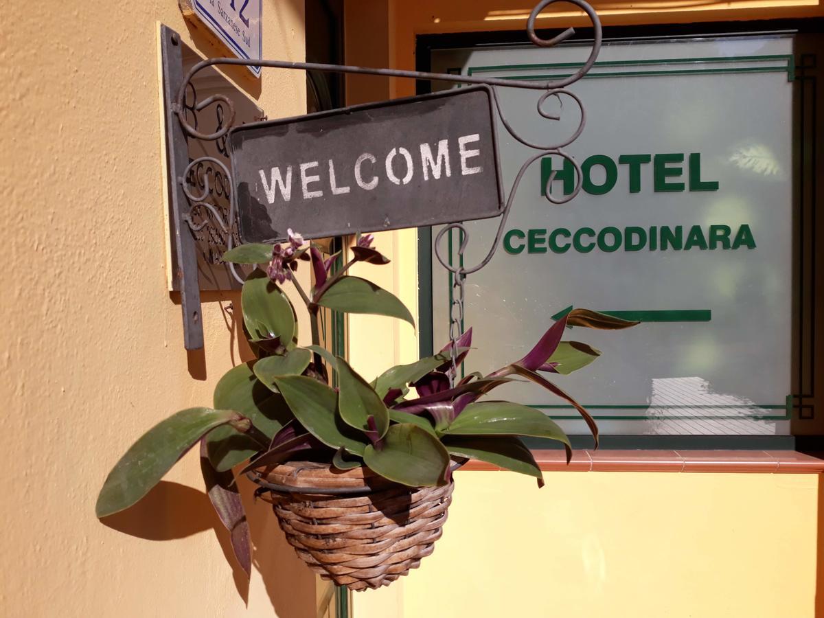 Cecco Di Nara Ξενοδοχείο Massarosa Εξωτερικό φωτογραφία